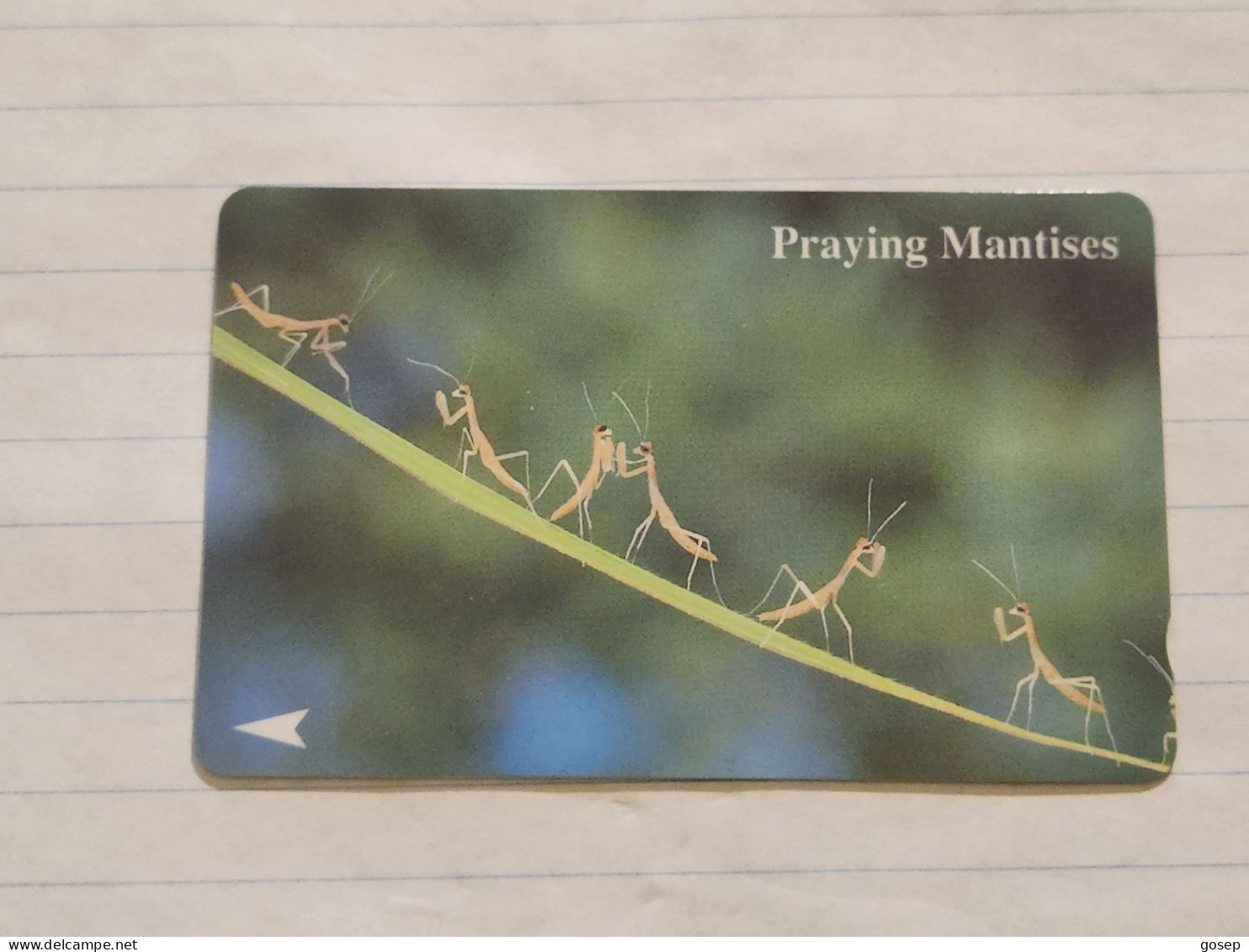 SINGAPORE-(40SIGA)-Praying Mantises-(100)(40SIGA-089461)($10)(1/1/1994)-used Card+1card Prepiad Free - Singapour