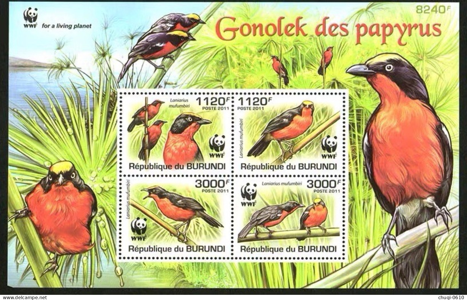 Burundi 2011 WWF Endangered Bird Black Shrike Mu,MS MNH - Ongebruikt