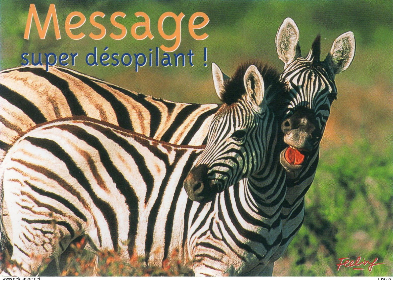 CPM - F - ZEBRE - MESSAGE SUPER DESOPILANT ! - Zebre