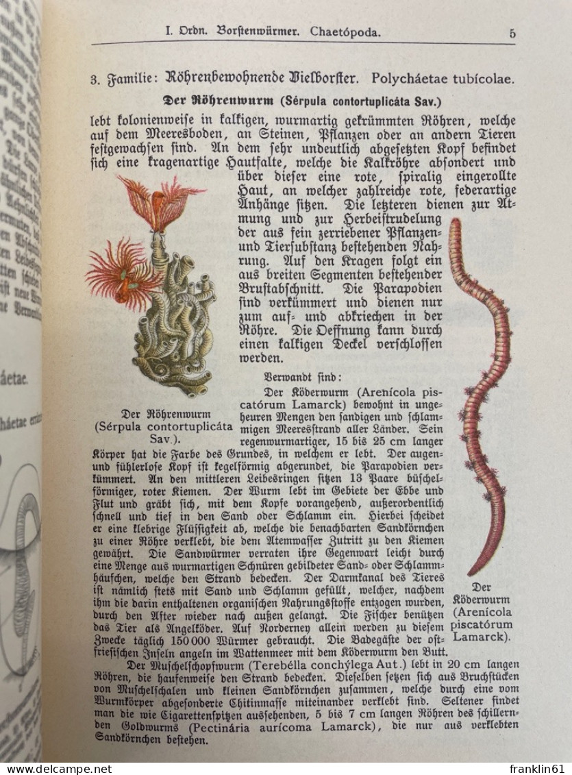 Naturgeschichte der Würmer, Stachelhäuter, Pflanzentiere und Urtiere.(Tierbuch).