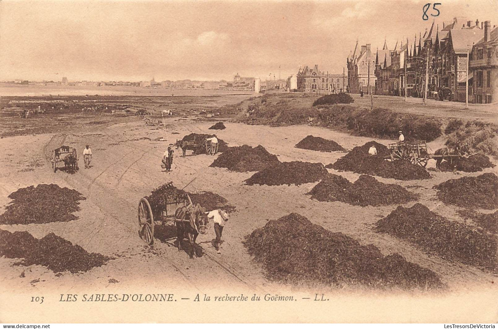 FRANCE - Sables D'Olonne - À La Recherche Du Goémon - Carte Postale Ancienne - Sables D'Olonne