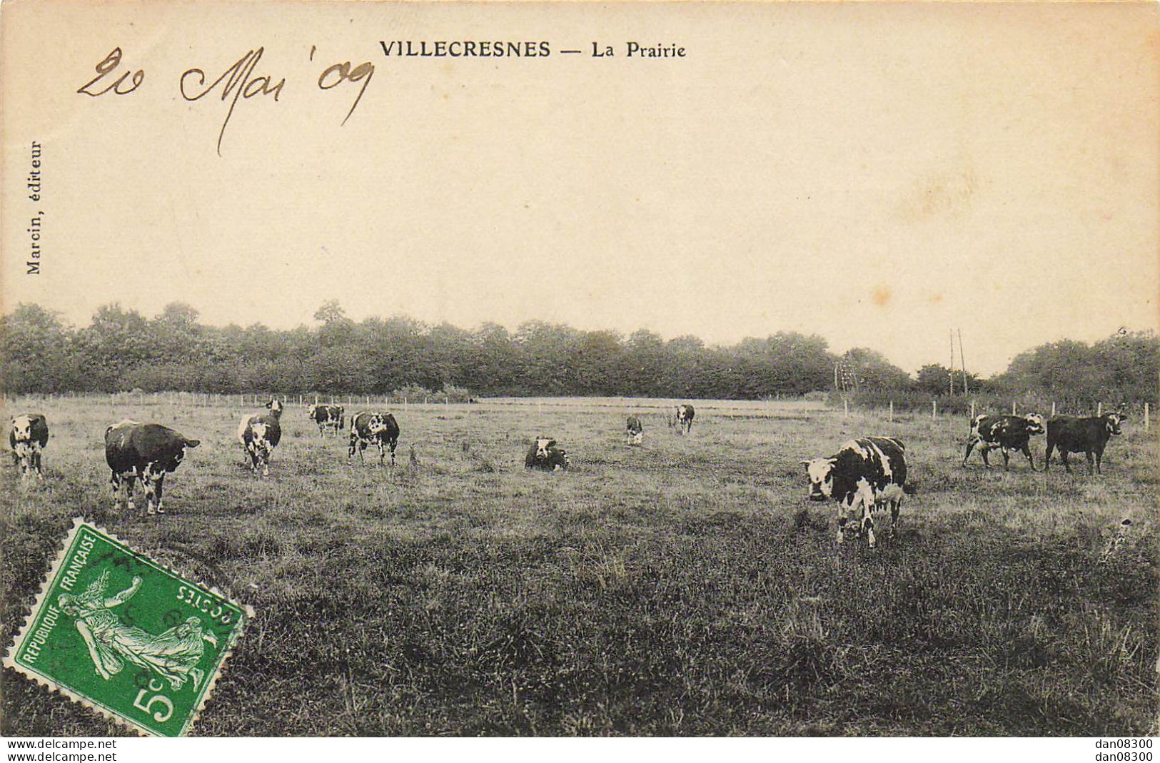 94 VILLECRESNES LA PRAIRIE TROUPEAU DE VACHES AU CHAMP - Villecresnes