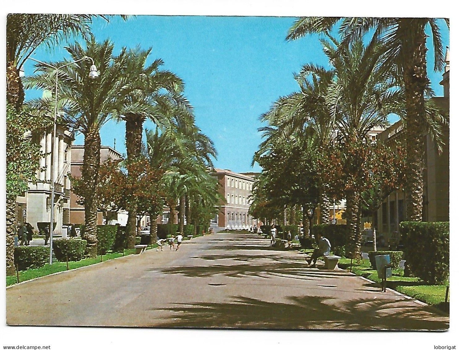 AVENIDA GENERAL VARELA.-  BADAJOZ.- EXTREMADURA - ( ESPAÑA ). - Badajoz