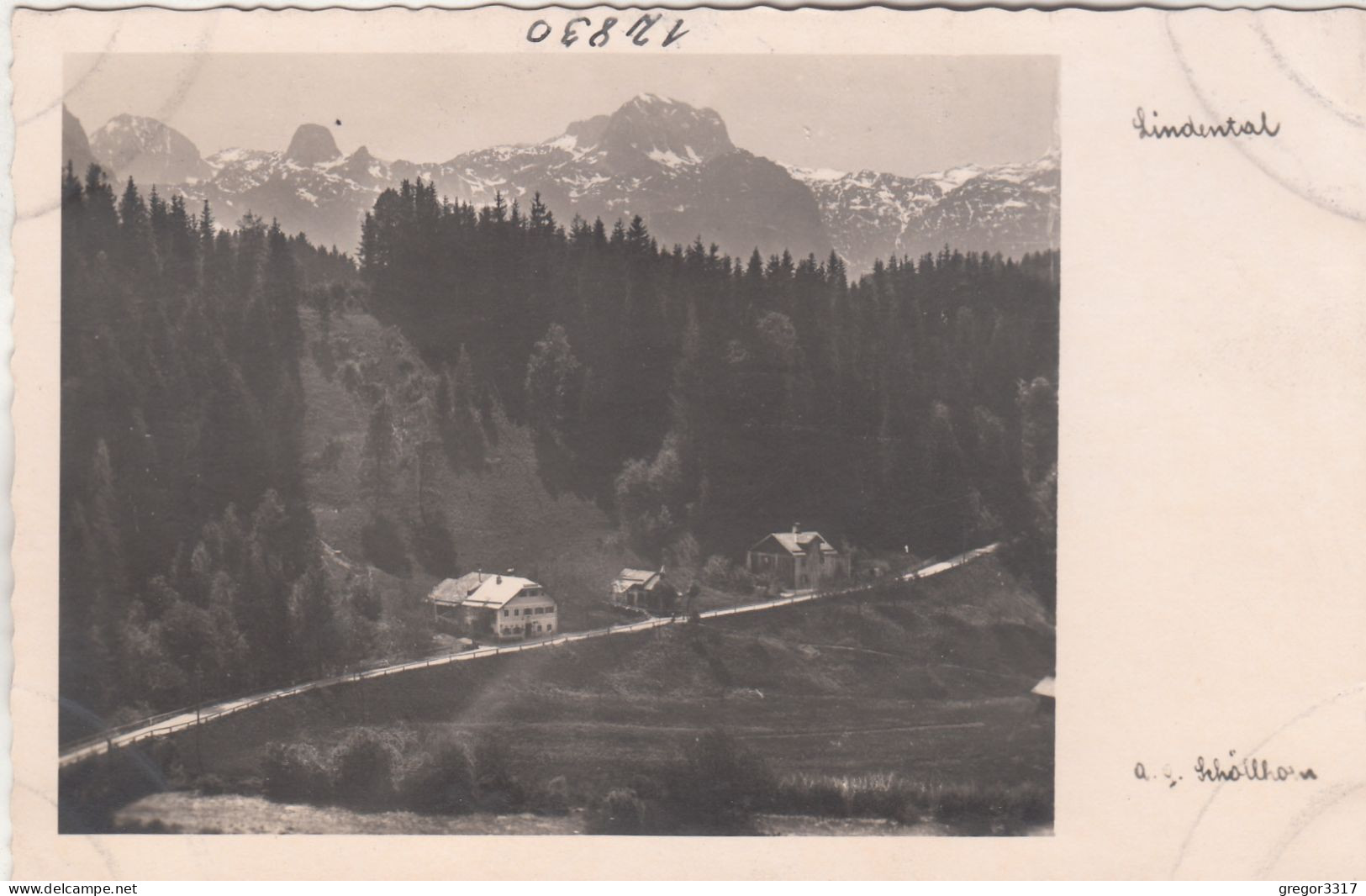 E1639) LINDENTAL Lindenthal - Abtenau - Alte Schöllhorn FOTO AK - Mit Straße U. Häusern ALT! - Abtenau