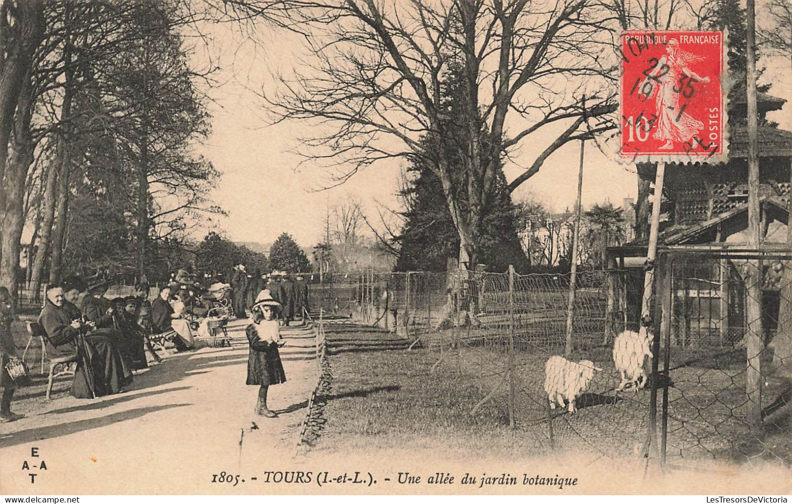 FRANCE - Tours - Une Allée Du Jardin Botanique - Moutons - Visiteurs - Carte Postale Ancienne - Tours