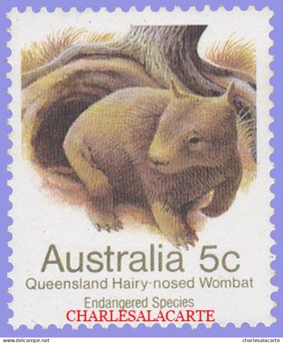 AUSTRALIA 1983  DEFINITIVE 5c. WOMBAT  P. 14½x14   S.G. 784a  U.M. /N.S.C. - Mint Stamps