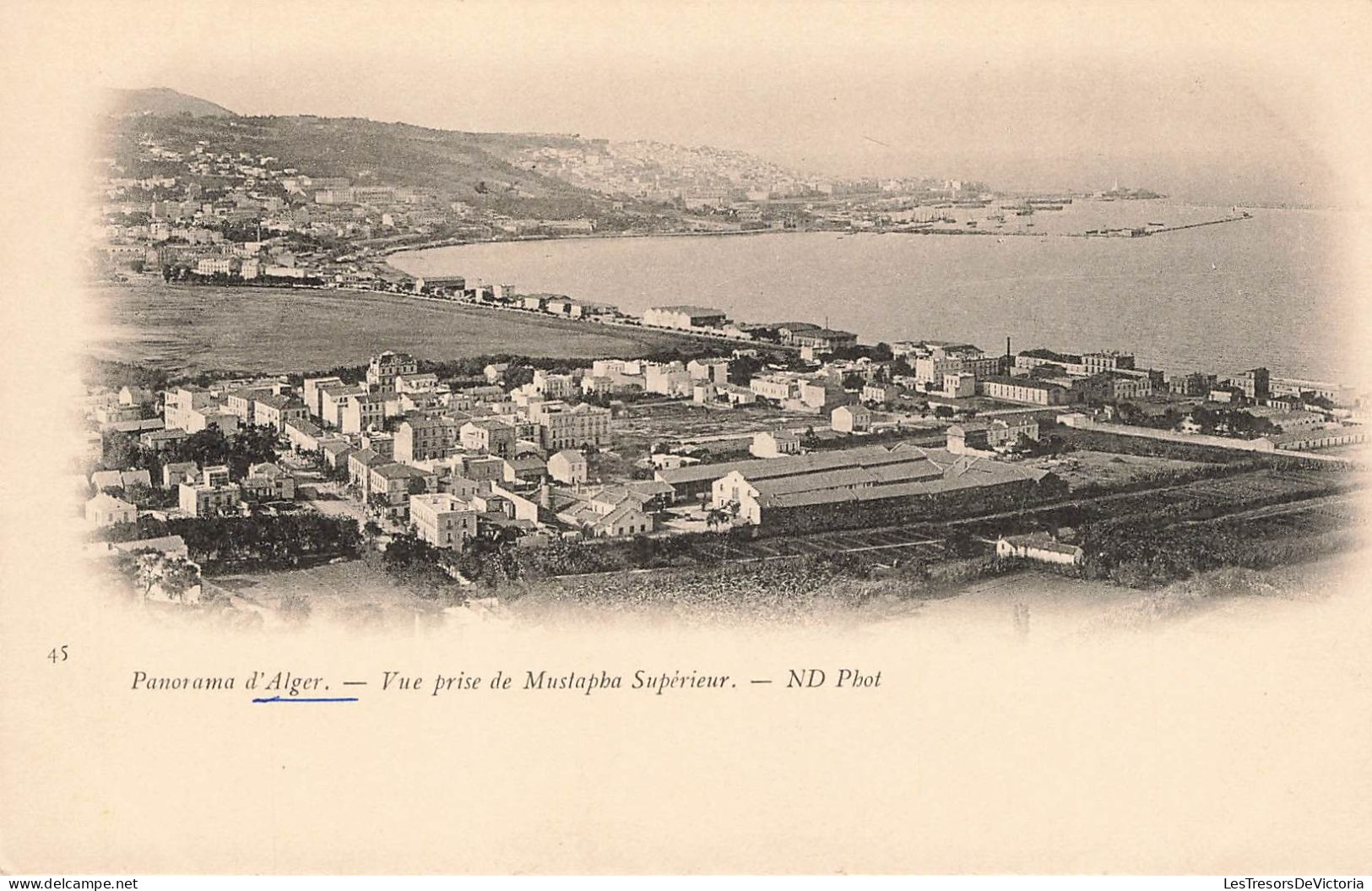 ALGÉRIE - Alger - Panorama - Vue Prise De Mustapha Supérieur - Carte Postale Ancienne - Algiers