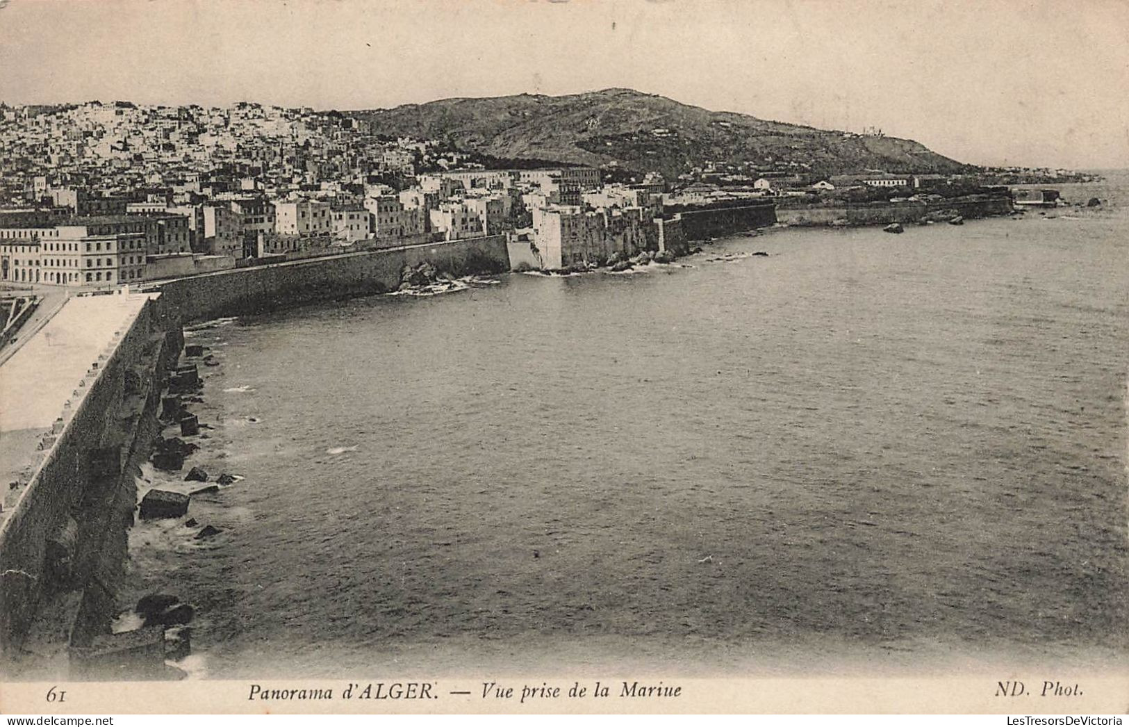 ALGÉRIE - Alger - Panorama - Vue Prise De La Mariue - Carte Postale Ancienne - Alger