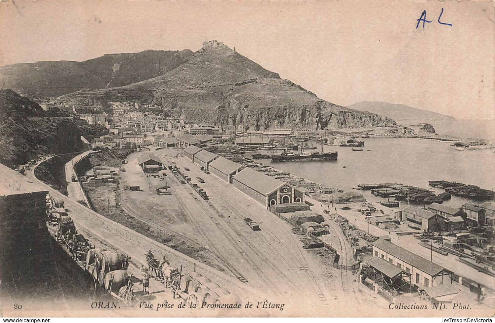 ALGÉRIE - Oran - Vue Prise De La Promenade De L'étang - Carte Postale Ancienne - Oran