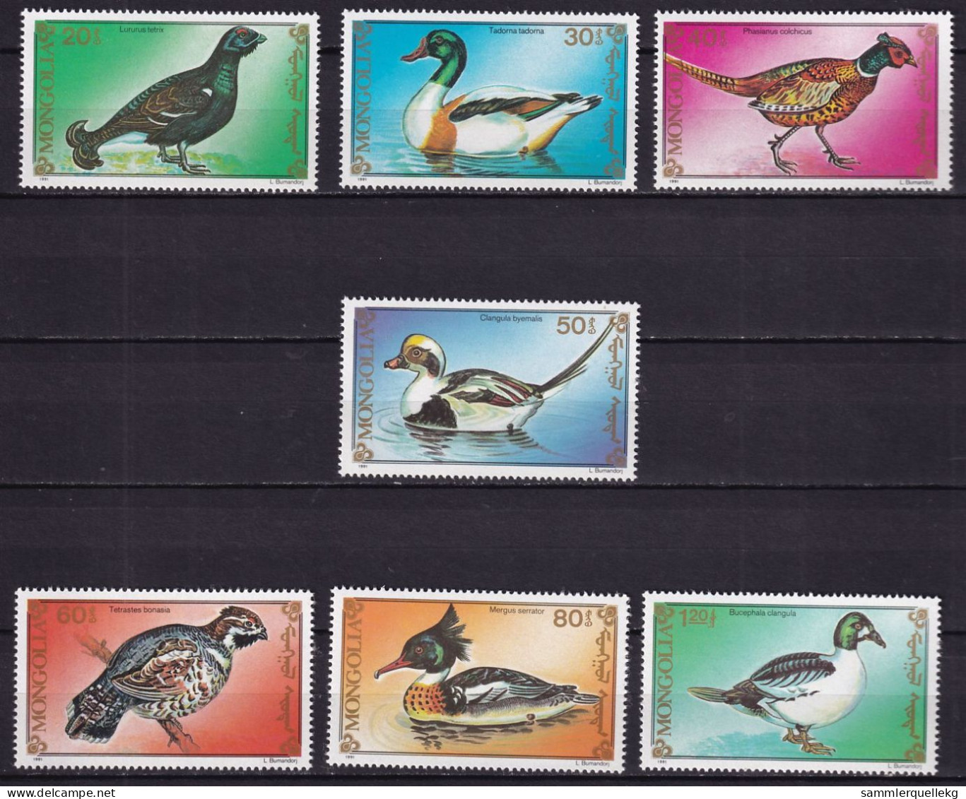 Mongolei 2260 - 2266 Postfrisch, Hühner Und Gänsevögel - Oies