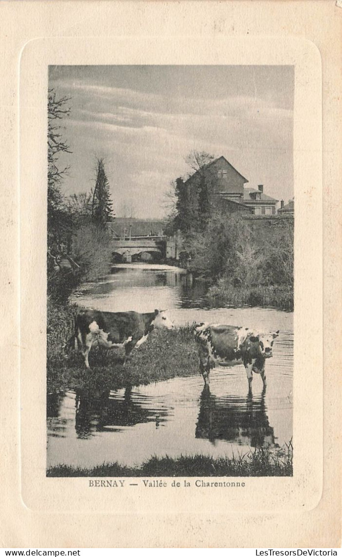 FRANCE - Bernay - Vallée De La Charentonne - Vaches Traversant Une Rivière  - Carte Postale Ancienne - Bernay