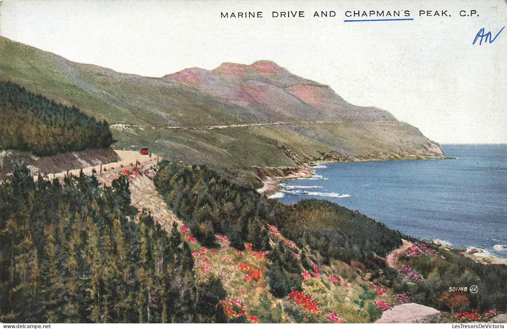 AFRIQUE DU SUD - Chapman's Peak - Vue D'ensemble - Carte Postale Ancienne - Afrique Du Sud