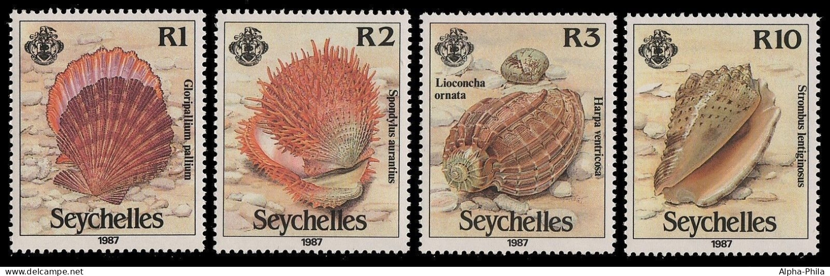 Seychellen 1987 - Mi-Nr. 633-636 ** - MNH - Meeresschnecken / Marine Snails - Seychelles (1976-...)