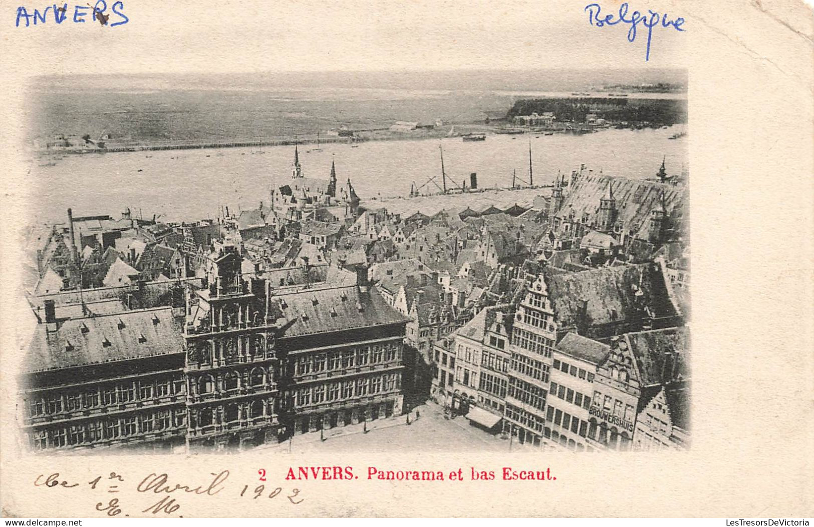 BELGIQUE - Anvers - Panorama Et Bas Escaut - Carte Postale Ancienne - Antwerpen