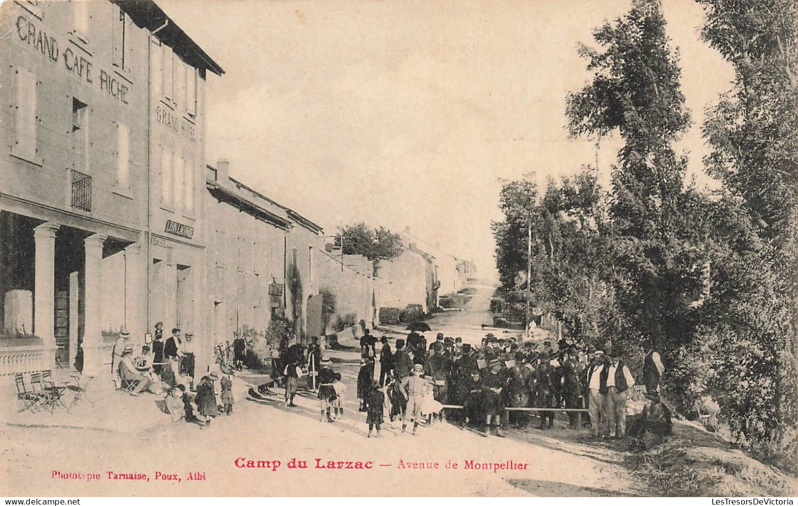 FRANCE - Camp Du Larzac - Avenue De Montpellier - Carte Postale Ancienne - Other & Unclassified