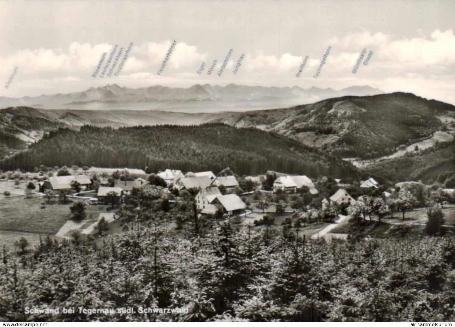 Tegernau (Kleines Wiesental) / Schwand / Lörrach (D-A301) - Loerrach