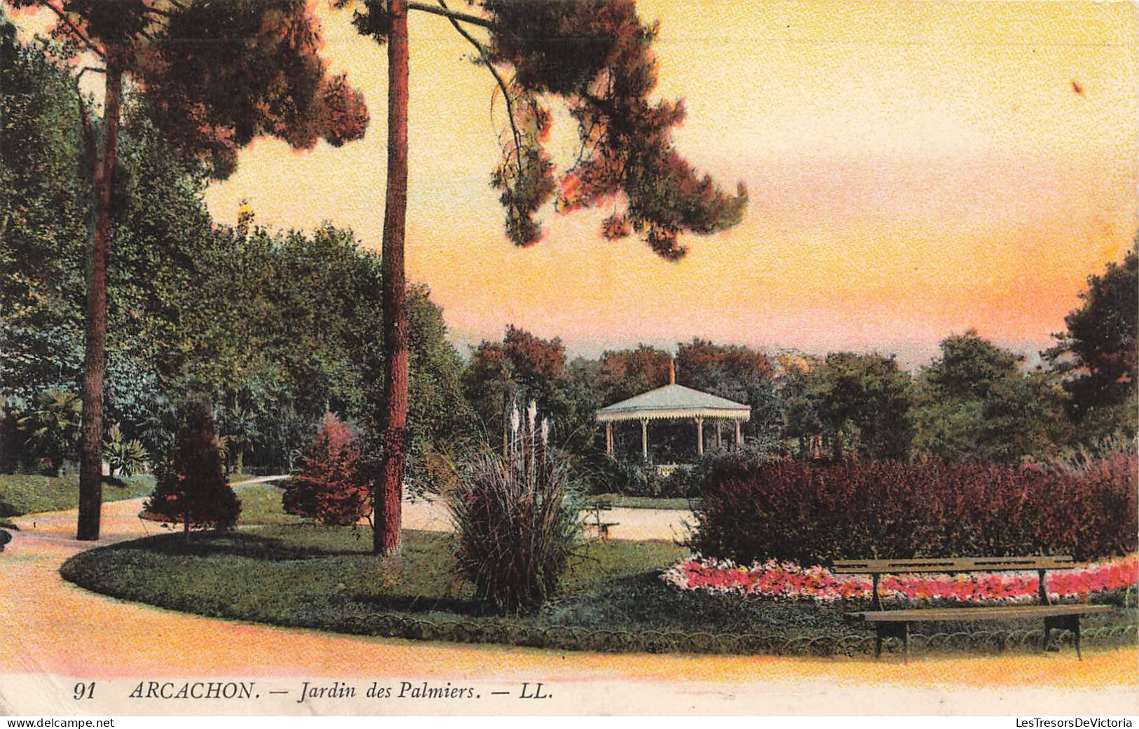 FRANCE - Arcachon - Jardin Des Palmiers - Carte Postale Ancienne - Arcachon