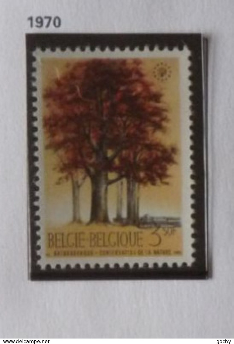 Belgium   N° 1523 à 1566 ** + B 47 / 48 + C 3/ 7     1970  cat: 58 €            année complète