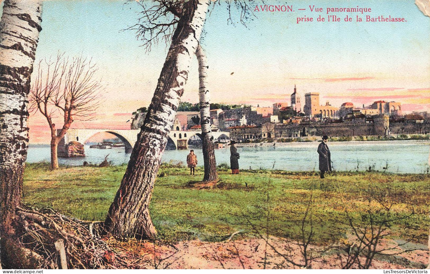 FRANCE - Avignon - Vue Panoramique Prise De L'Île De La Barthelasse - Carte Postale Ancienne - Avignon