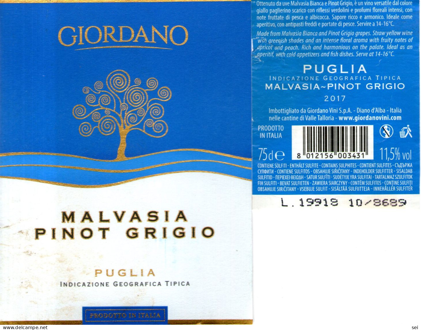 C 511 - Etichetta Vino Giordano Diano D'Alba - White Wines