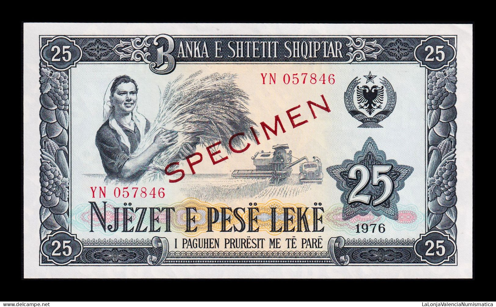 Albania 25 Leke 1976 Pick 44 Specimen Sc Unc - Albanien