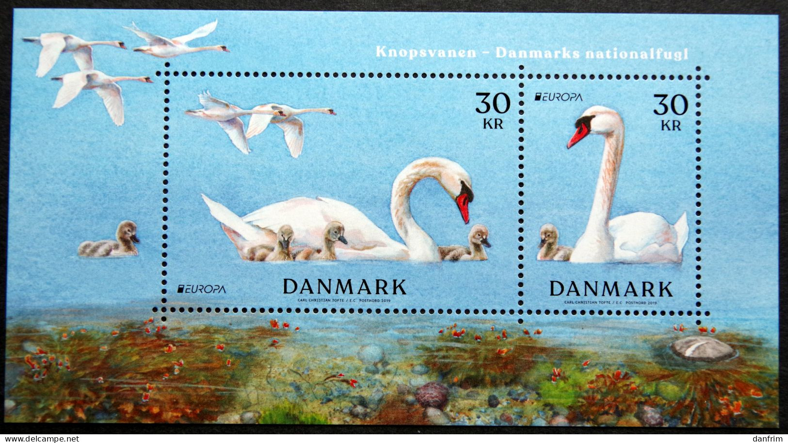 Denmark 2019  Europa. National Birds. Fauna. Mute  Minr.1979-80 Block 72 MNH ** ( Lot Mp) - Neufs