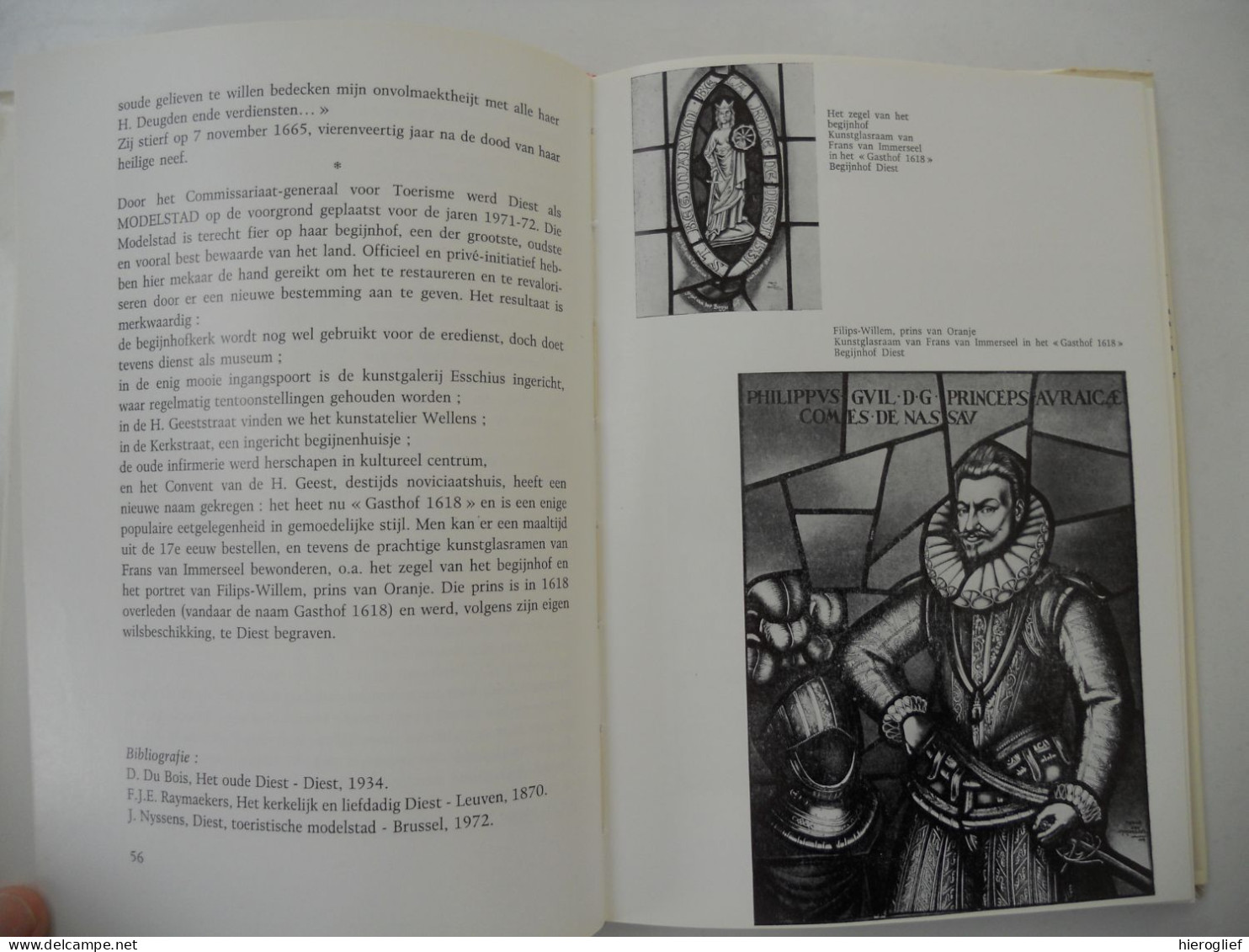 Onze Vlaamse Begijnhoven Door F. Vermuyten Diksmuide Gent Brugge Mechelen Kortrijk Leuven Lier Hasselt Herentals Diest - Historia