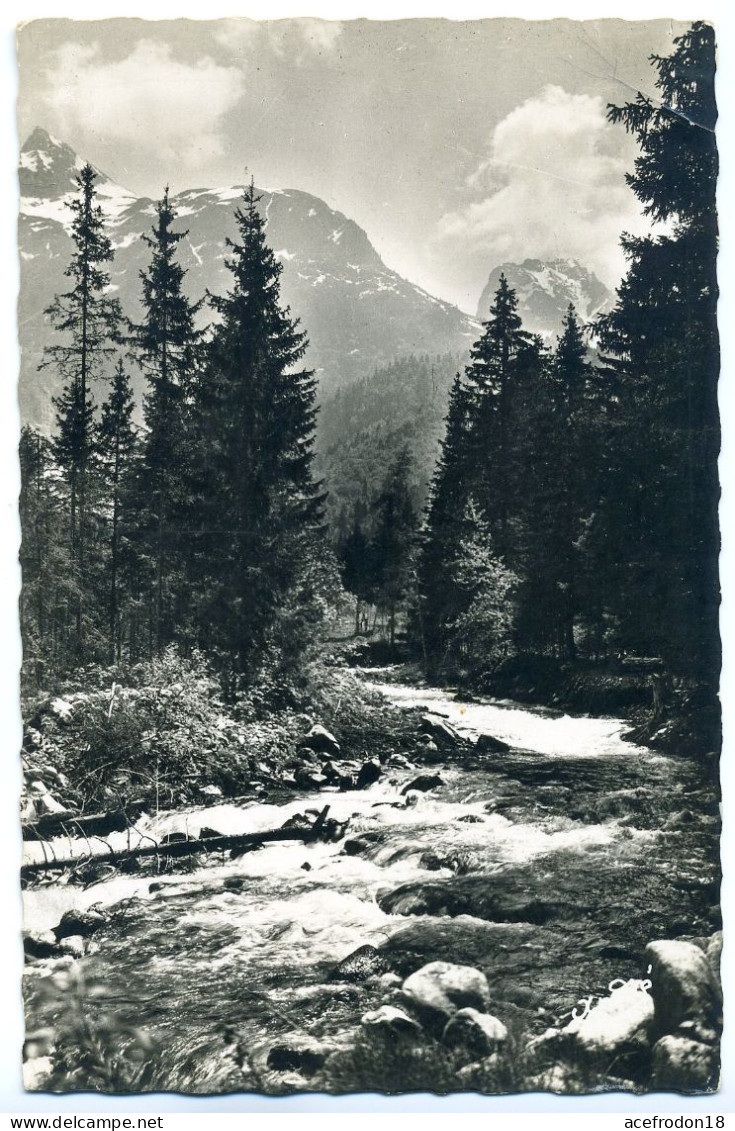 Alpes - Paysages Alpestres - Le Torrent - Rhône-Alpes