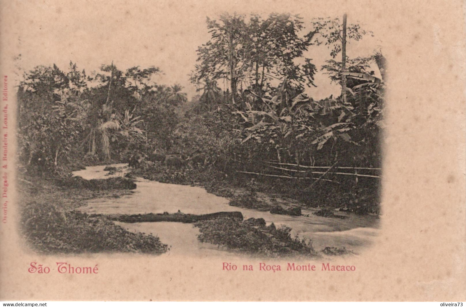 SÃO TOMÉ - Rio Na Roça Monte Macaco - Sao Tomé E Principe