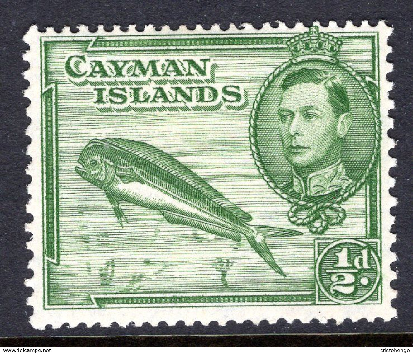 Cayman Islands 1938-48 KGVI Pictorials - ½d Dolphin Fish - P.13 X 11½ - HM (SG 116) - Cayman Islands