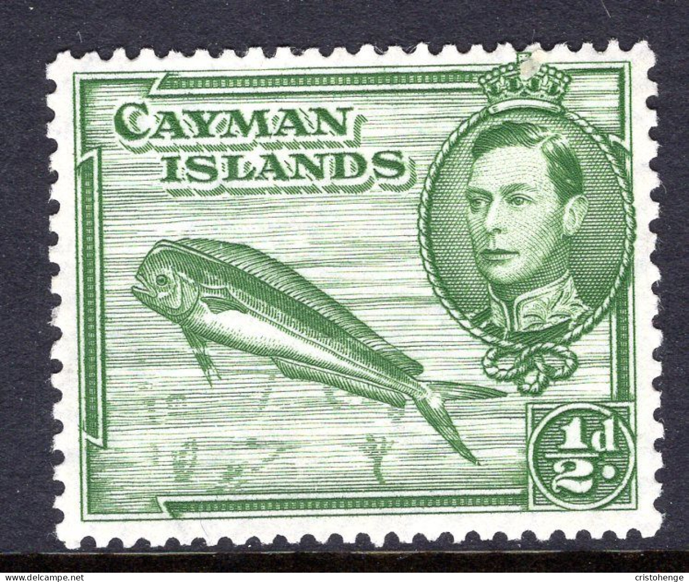 Cayman Islands 1938-48 KGVI Pictorials - ½d Dolphin Fish - P.13 X 11½ - HM (SG 116) - Cayman Islands