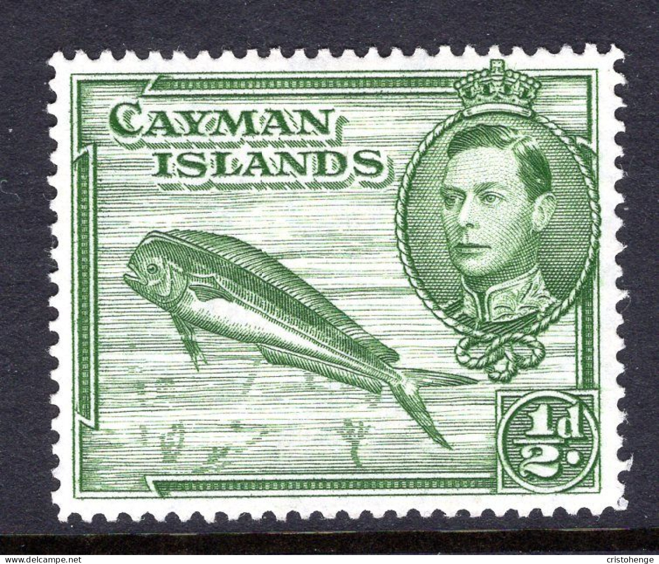 Cayman Islands 1938-48 KGVI Pictorials - ½d Dolphin Fish - P.14 - HM (SG 116a) - Cayman Islands