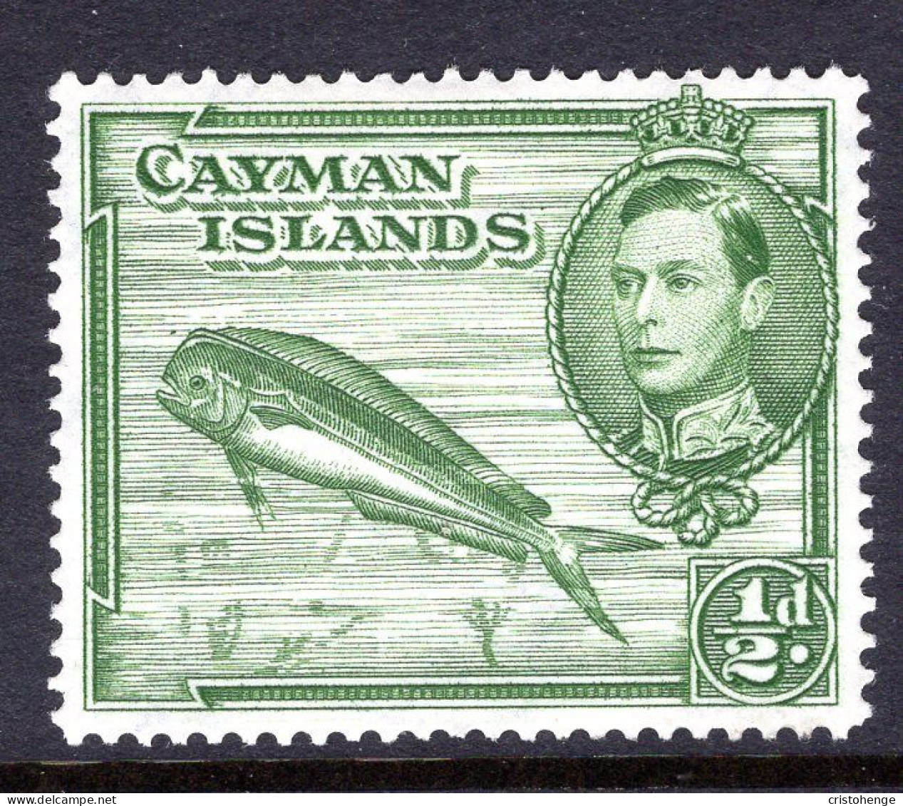 Cayman Islands 1938-48 KGVI Pictorials - ½d Dolphin Fish - P.14 - HM (SG 116a) - Cayman Islands