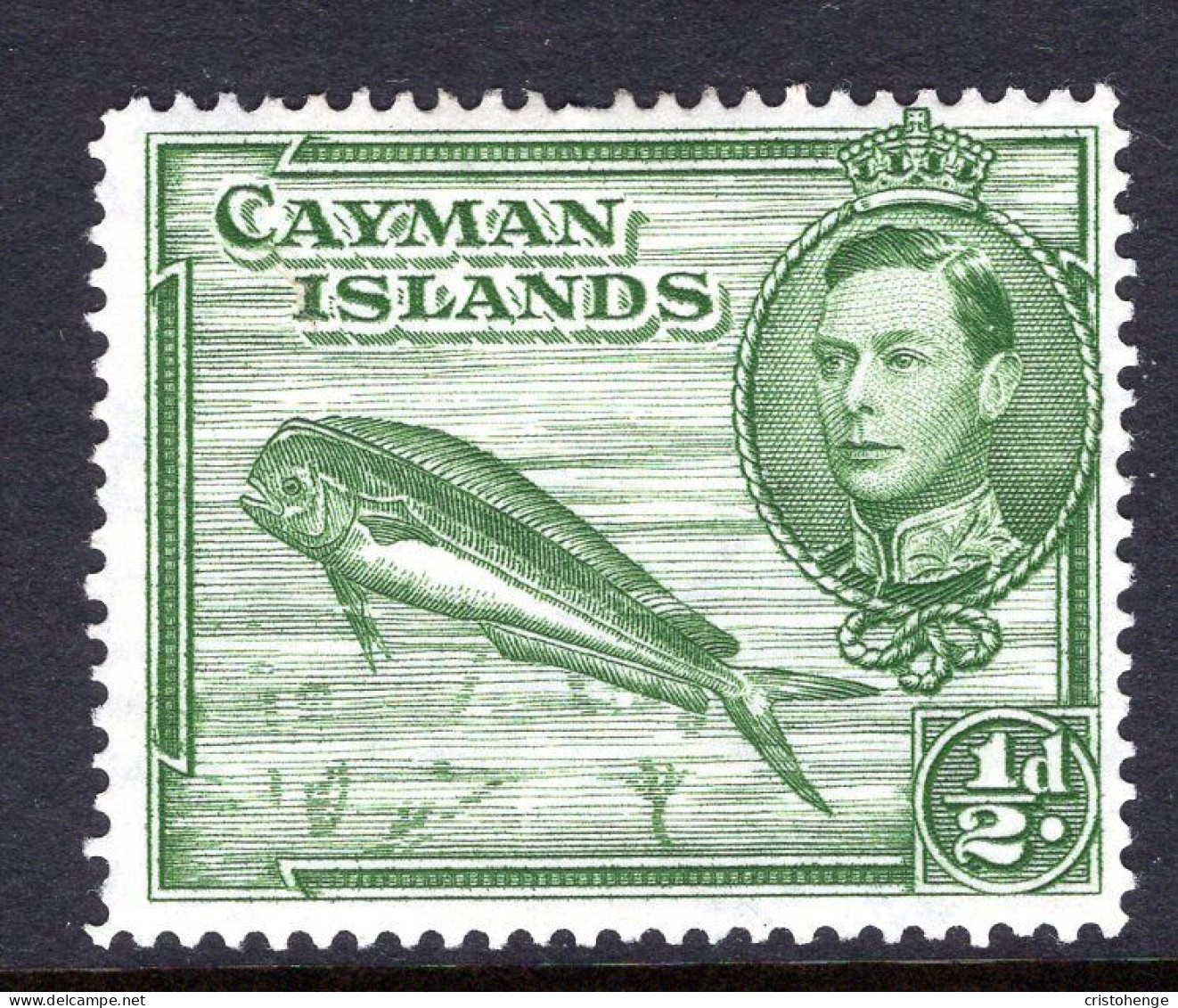 Cayman Islands 1938-48 KGVI Pictorials - ½d Dolphin Fish - P.14 - HM (SG 116a) - Cayman Islands
