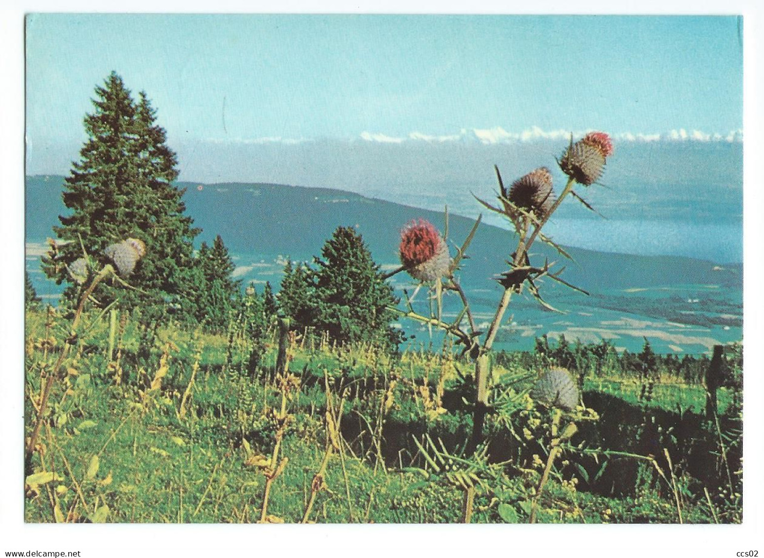 Le Mont Racine Vue Sur Les Alpes 1970 - Val-de-Ruz