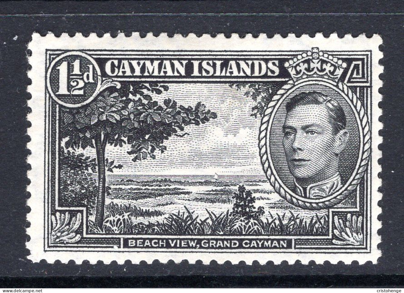 Cayman Islands 1938-48 KGVI Pictorials - 1½d Beach View HM (SG 118) - Cayman Islands