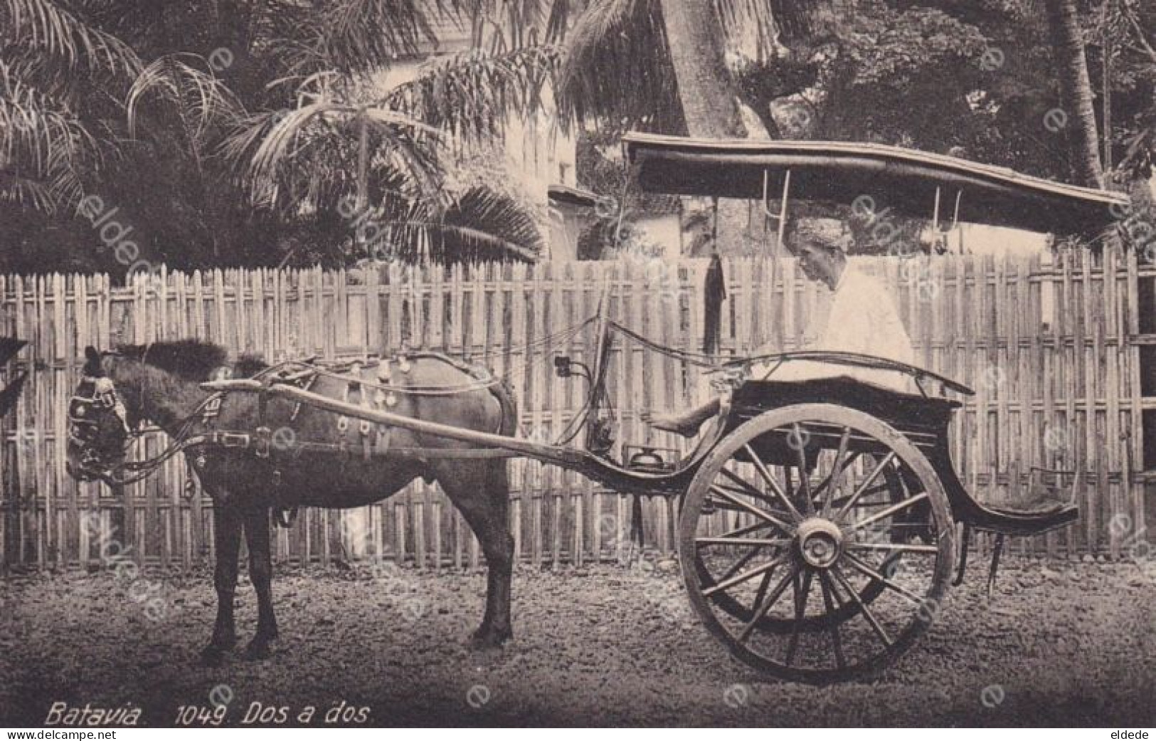 Batavia Indonesia Transportation Taxi Dos A Dos Horse Carriage.  Edit Tio Tek Hong Weltevreden - Taxis & Fiacres