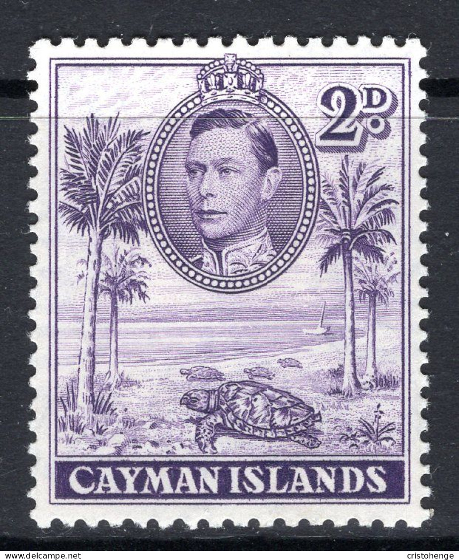 Cayman Islands 1938-48 KGVI Pictorials - 2d Hawksbill Turtles - P.11½ X 13 - HM (SG 119) - Cayman Islands