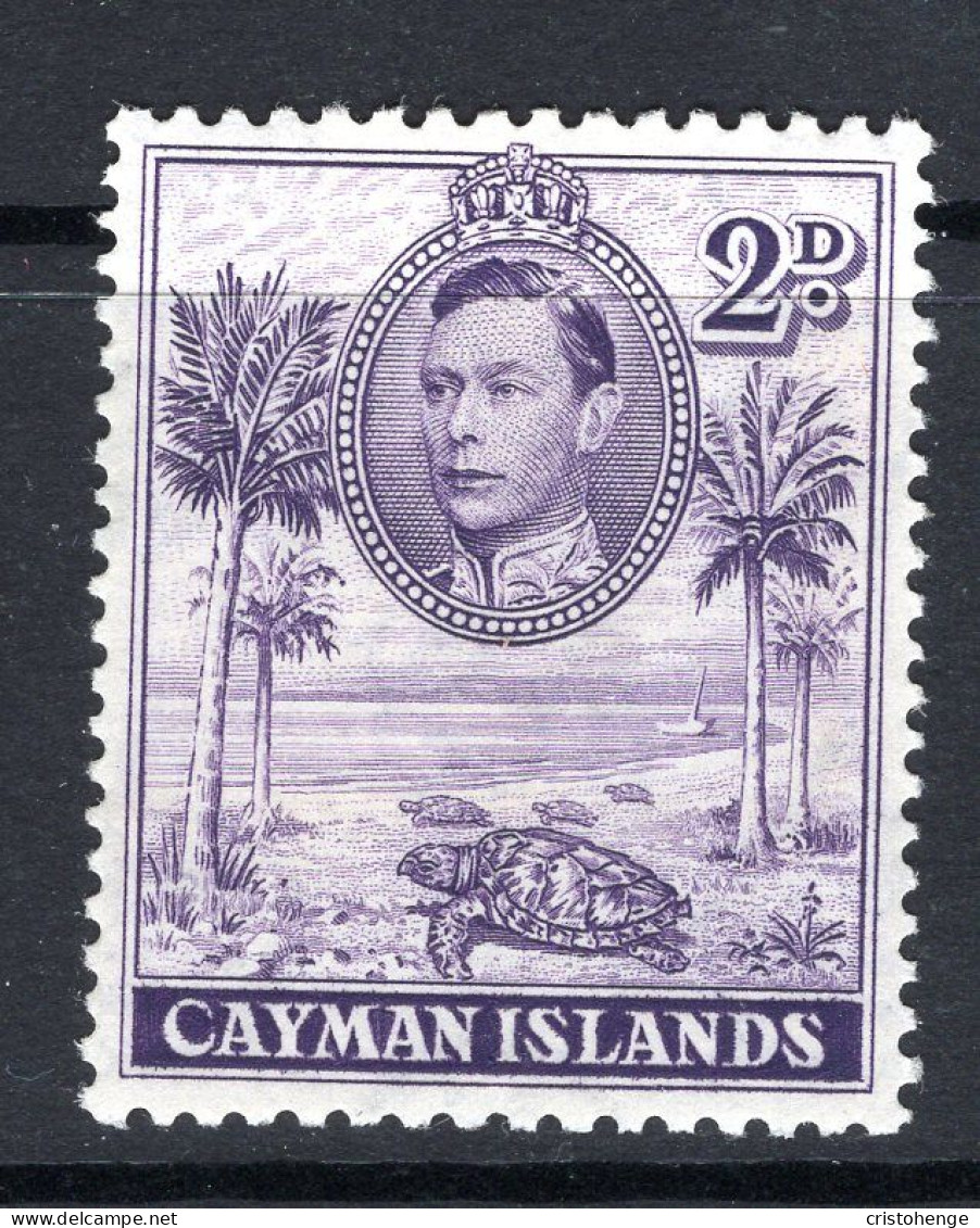 Cayman Islands 1938-48 KGVI Pictorials - 2d Hawksbill Turtles - P.11½ X 13 - HM (SG 119) - Cayman Islands