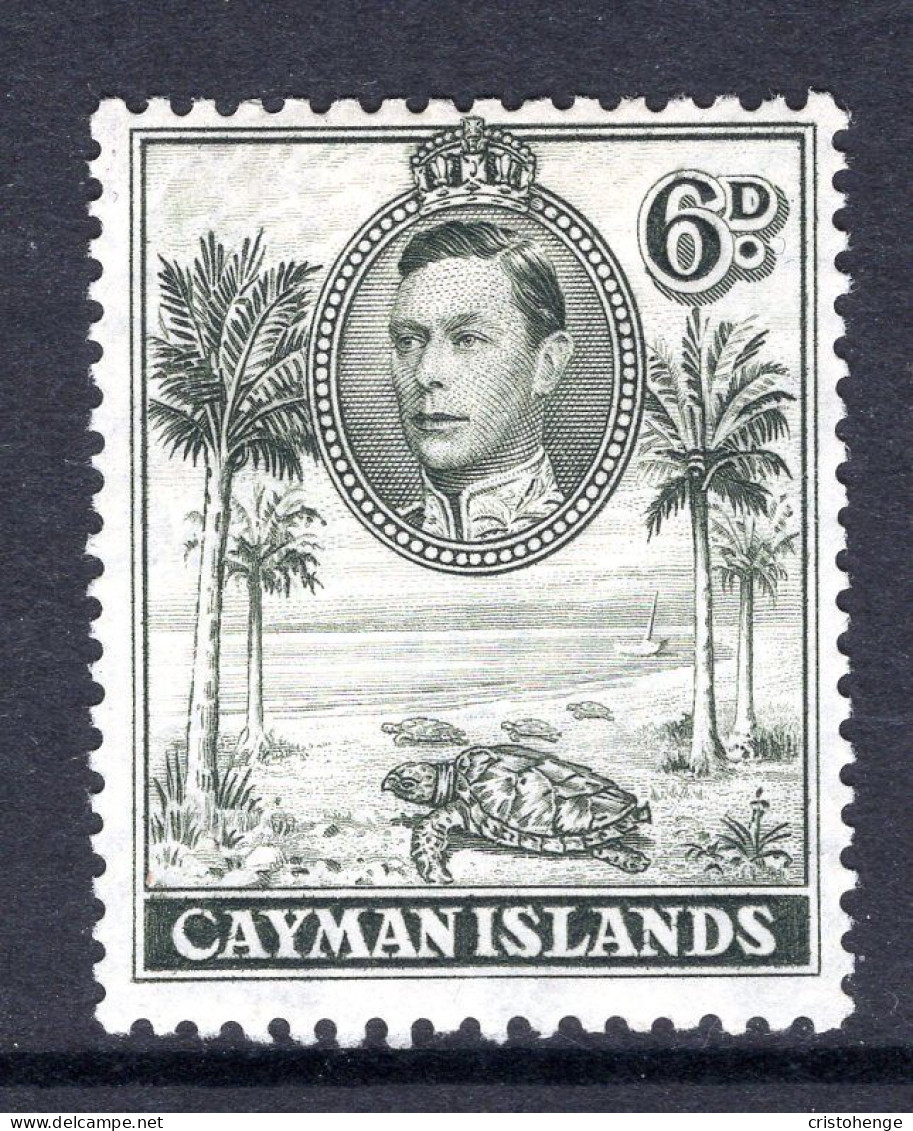 Cayman Islands 1938-48 KGVI Pictorials - 6d Hawksbill Turtles - P.11½ X 13 - Olive-green HM (SG 122) - Cayman Islands