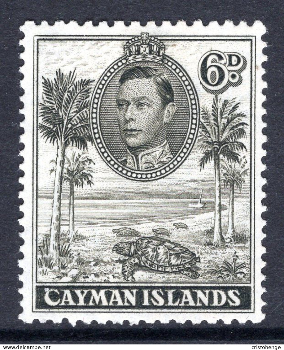 Cayman Islands 1938-48 KGVI Pictorials - 6d Hawksbill Turtles - P.11½ X 13 - Brownish-olive HM (SG 122b) - Cayman Islands