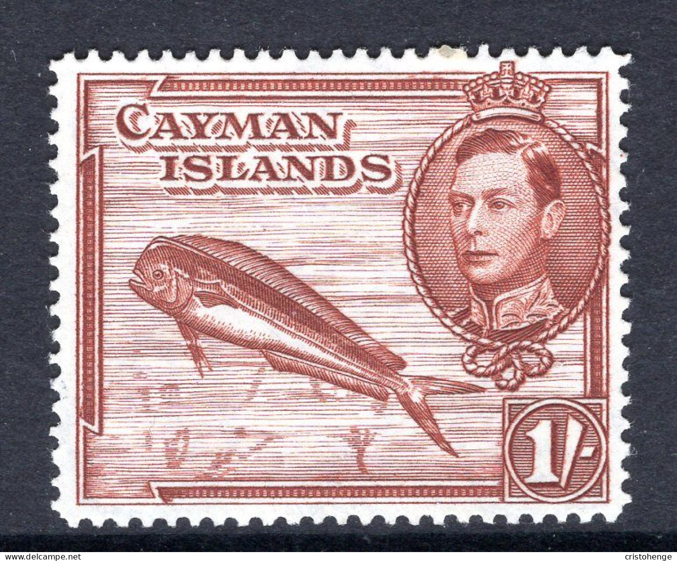 Cayman Islands 1938-48 KGVI Pictorials - 1/- Dolphin Fish - P.14 HM (SG 123a) - Cayman Islands