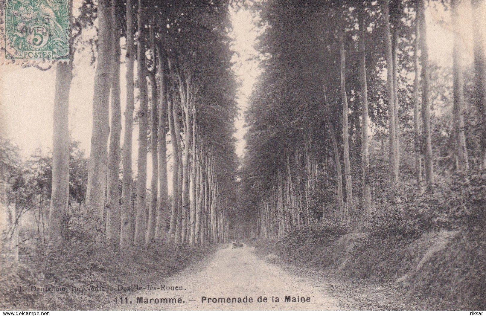 MAROMME(ARBRE) - Maromme