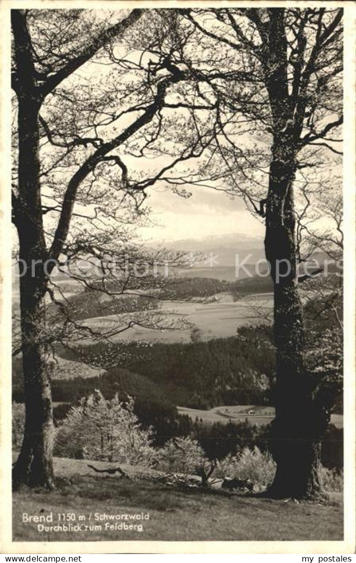 41956864 Brend Schwarzwald Durchblick Zum Feldberg Furtwangen Im Schwarzwald - Furtwangen