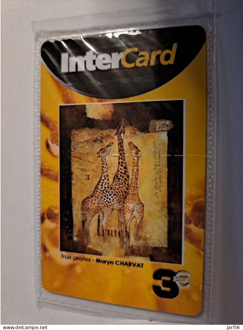 ST MARTIN  INTERCARD  TROIS GIRAFFES            3 EURO /   INTER 197 / MINT CARD IN WRAPPER    ** 16114 ** - Antille (Francesi)