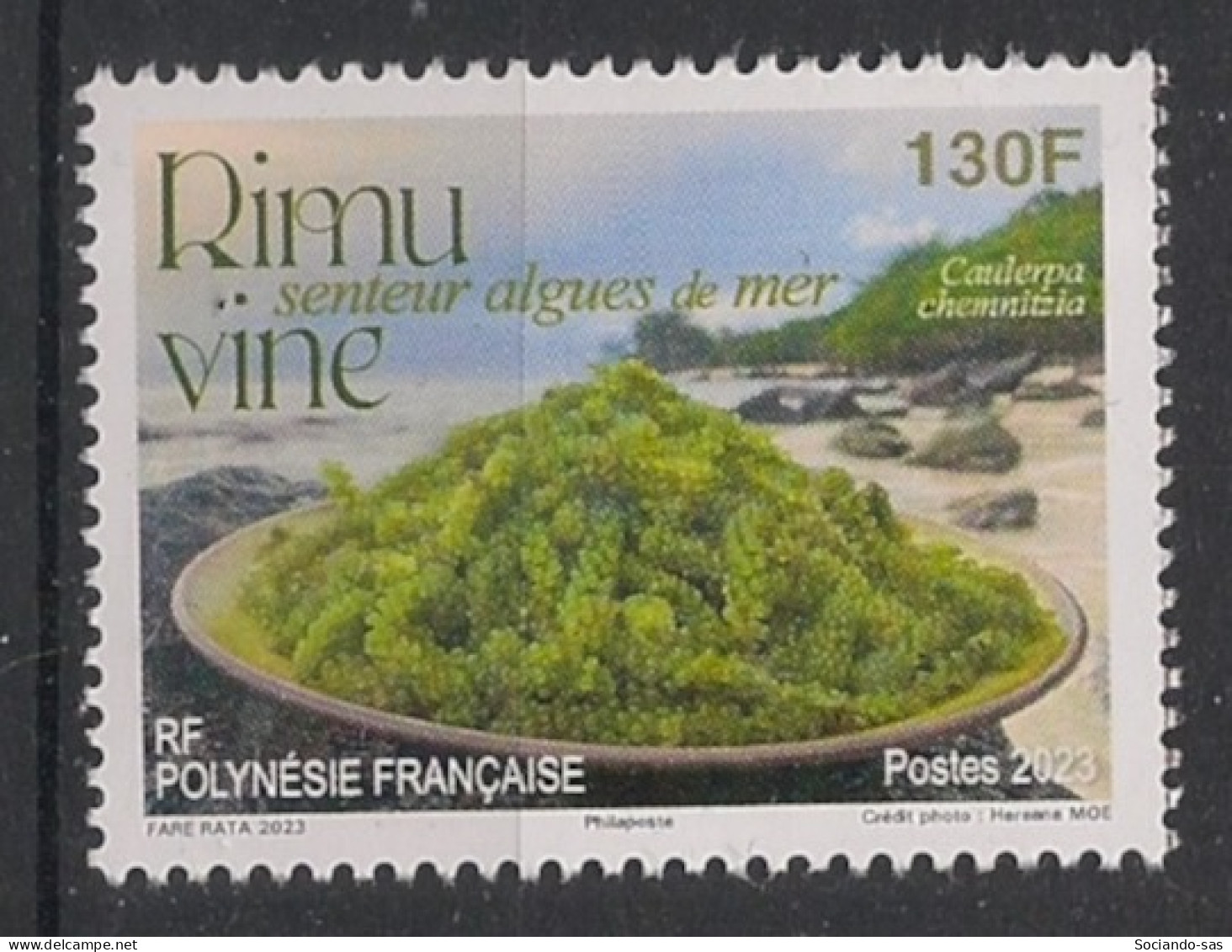 POLYNESIE - 2023 - N°YT. 1319 - Algues Marines - Neuf Luxe ** / MNH / Postfrisch - Unused Stamps