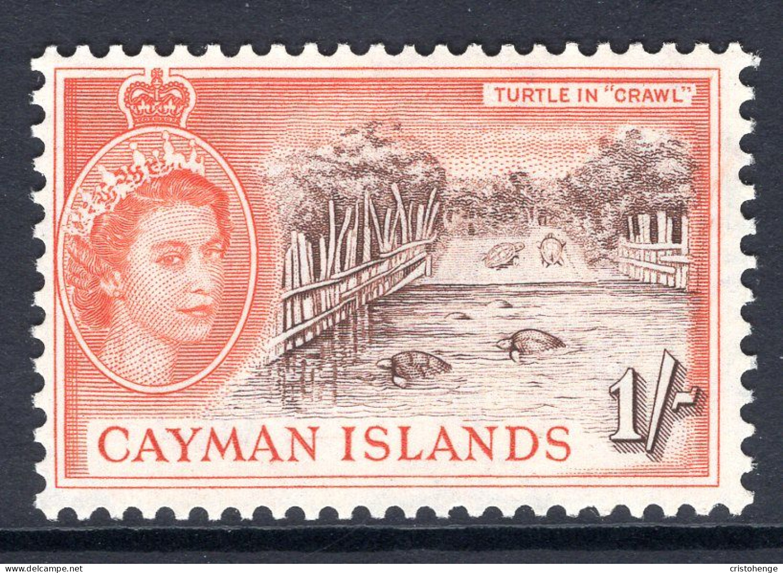 Cayman Islands 1953-62 QEII Pictorials - 1/- Turtles In Crawl MNH (SG 158) - Cayman Islands