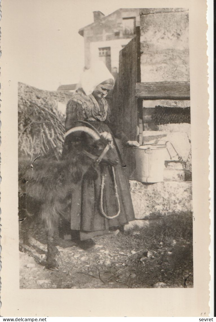 VOUILLE LA BATAILLE . - Fermière Et Sa Chèvre Au Puits. Carte-photo 9X14 - Vouille