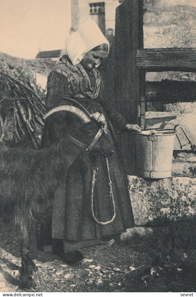 VOUILLE LA BATAILLE . - Fermière Et Sa Chèvre Au Puits. CPM Tour Dentelé - Vouille