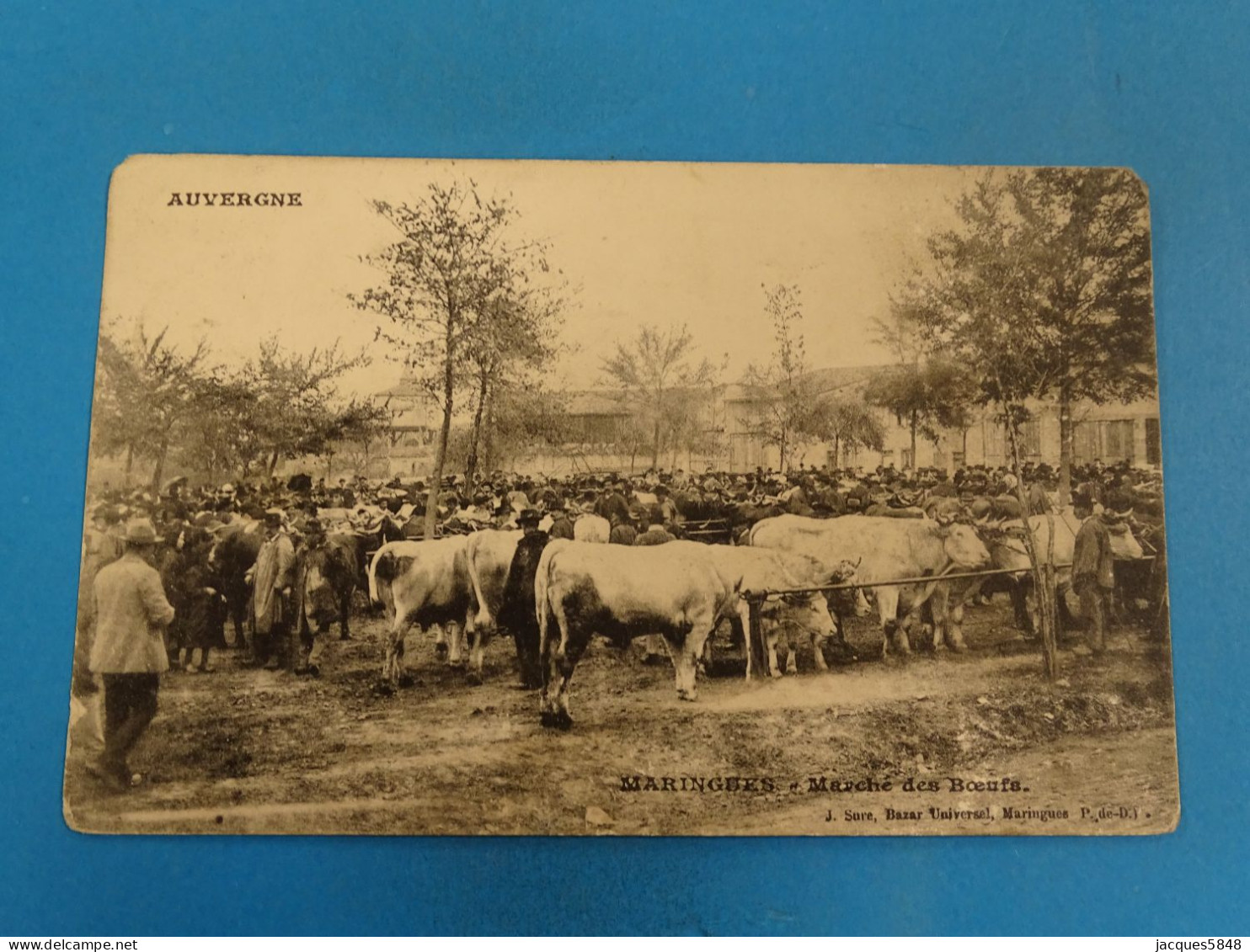 63) Maringues - N° - Marché Des Bœufs - Année:1906 - EDIT: Bazar - Maringues